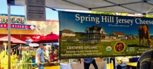 spring hill jersey cheese product banner